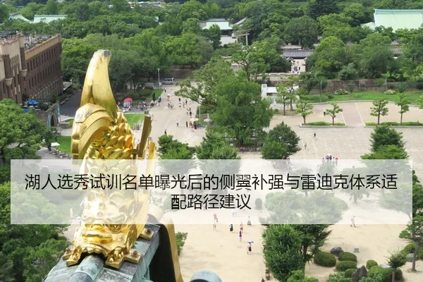 hu-ren-xuan-xiu-shi-xun-ming-dan-bao-guang-hou-de-ce-yi-bu-qiang-yu-lei-di-ke-ti-xi-shi-pei-lu-jing-jian-yi-2-518.jpg