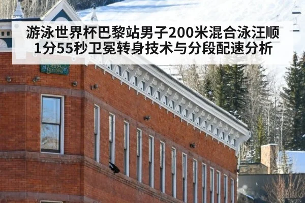游泳世界杯巴黎站男子200米混合泳汪顺1分55秒卫冕转身技术与分段配速分析